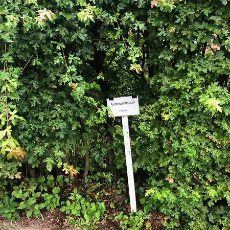 Gottwaldhaus-freiberg-apartment D Apartment *