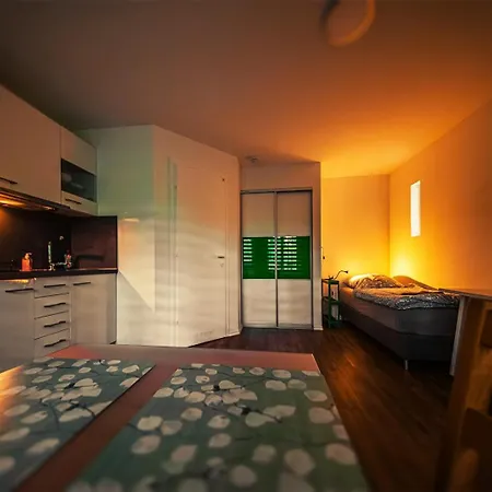 Gottwaldhaus-freiberg-apartment D