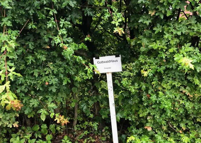 Gottwaldhaus-freiberg-apartment D Apartment *