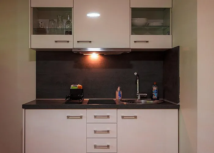 Gottwaldhaus-freiberg-apartment D *