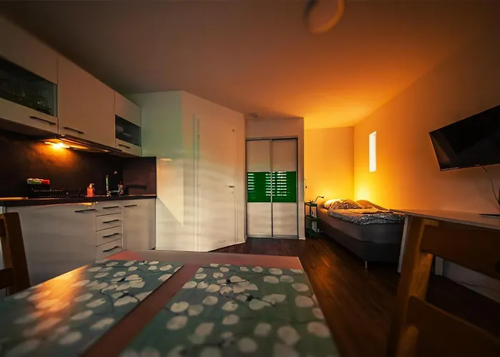 Gottwaldhaus-freiberg-apartment D