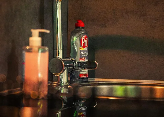 Gottwaldhaus-freiberg-apartment D * Freiberg